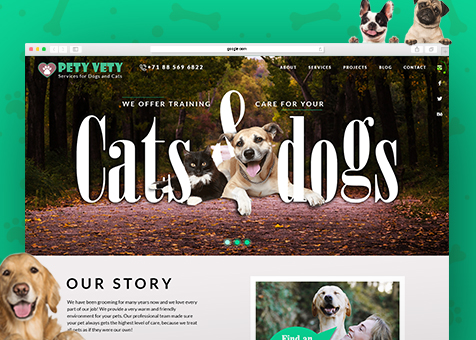 Pet Care Website